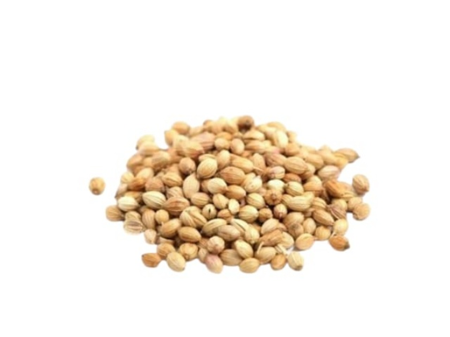 Coriander 500g
