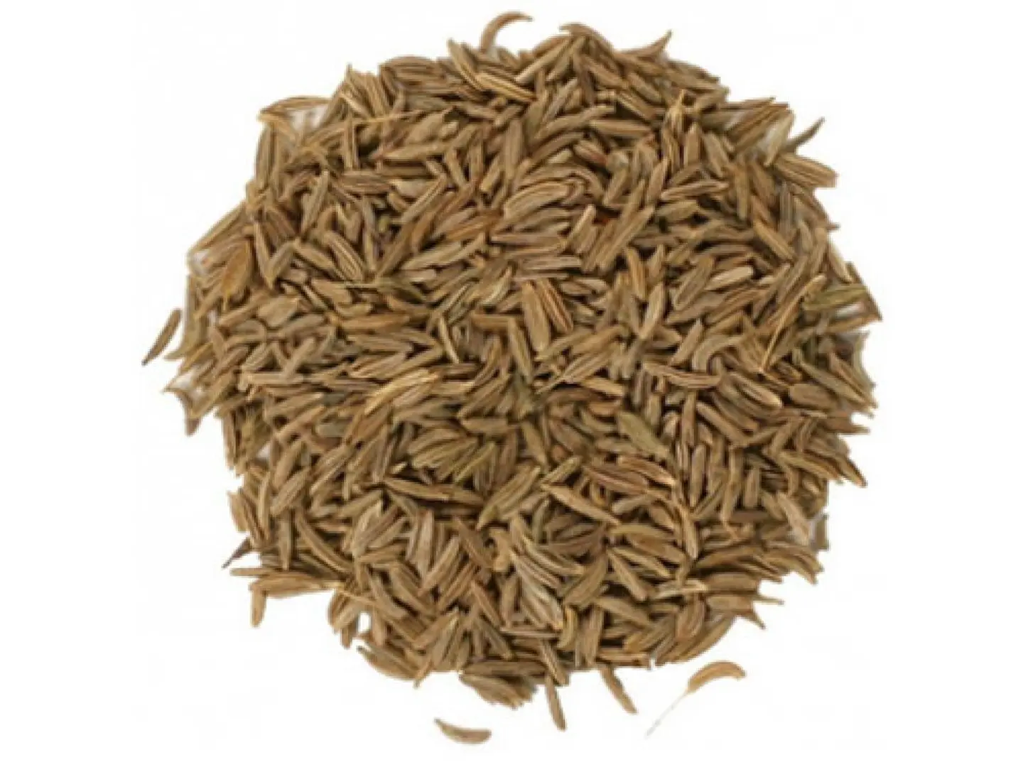Caraway 500 Grams