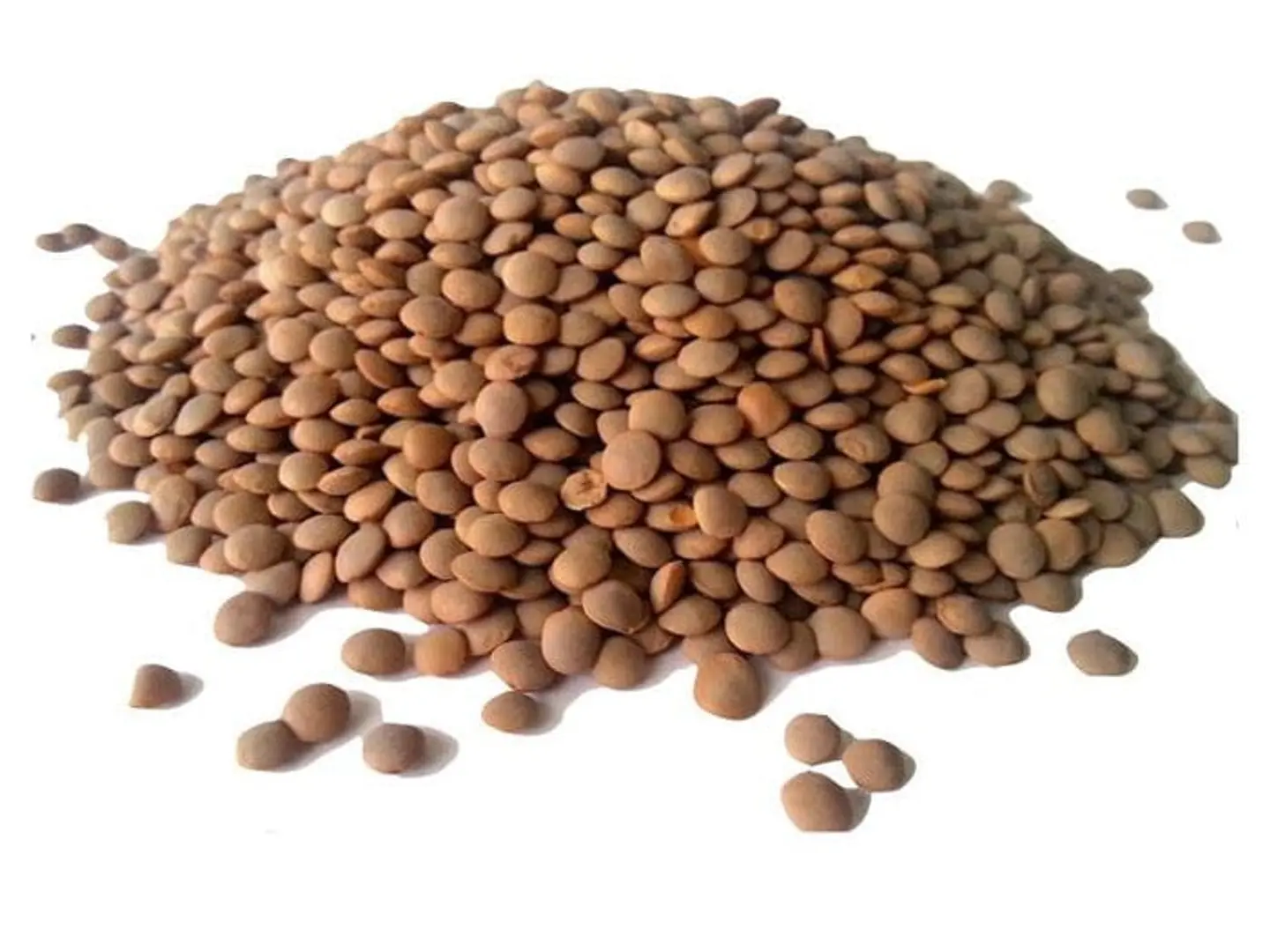 Brown Lentils 1kg