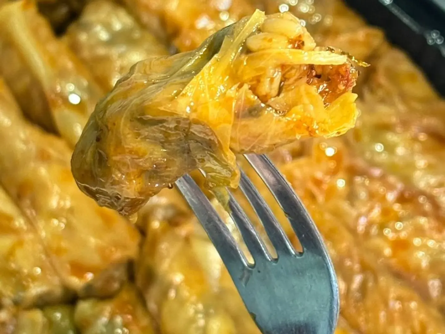 ملفوف صحن 50قطعة