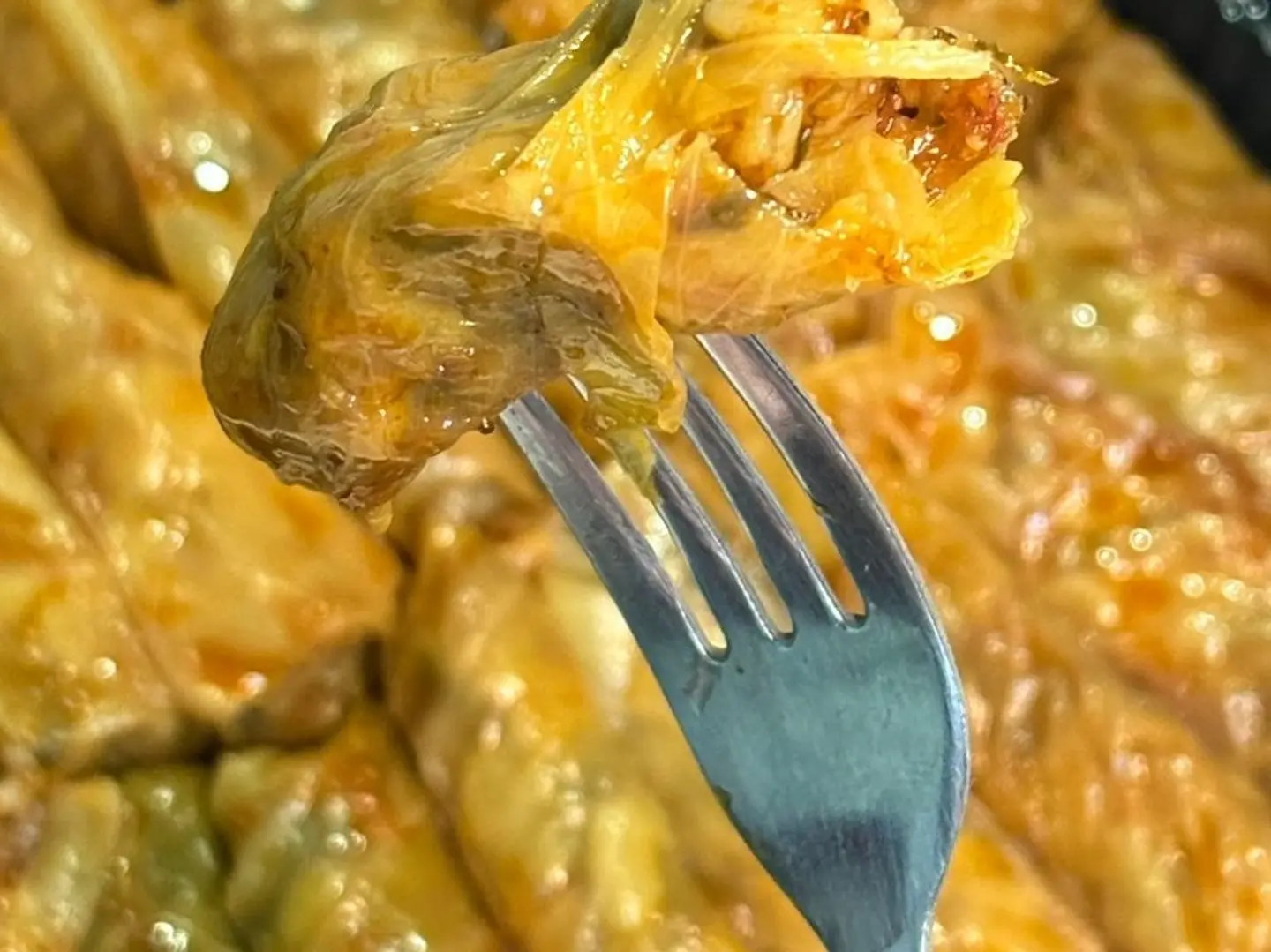 ملفوف دالية 10قطعة