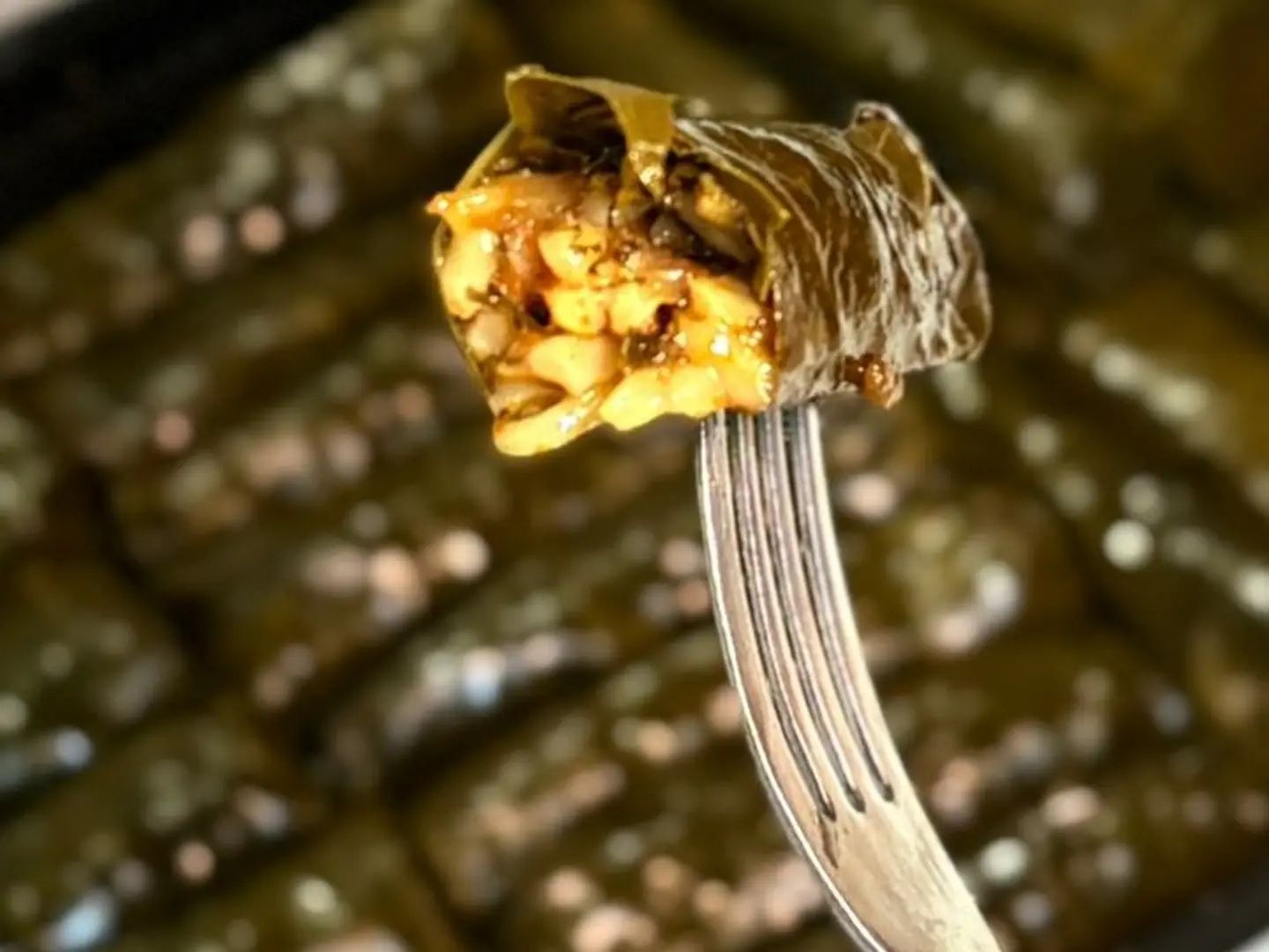 ورق عنب عادي 50 قطعة