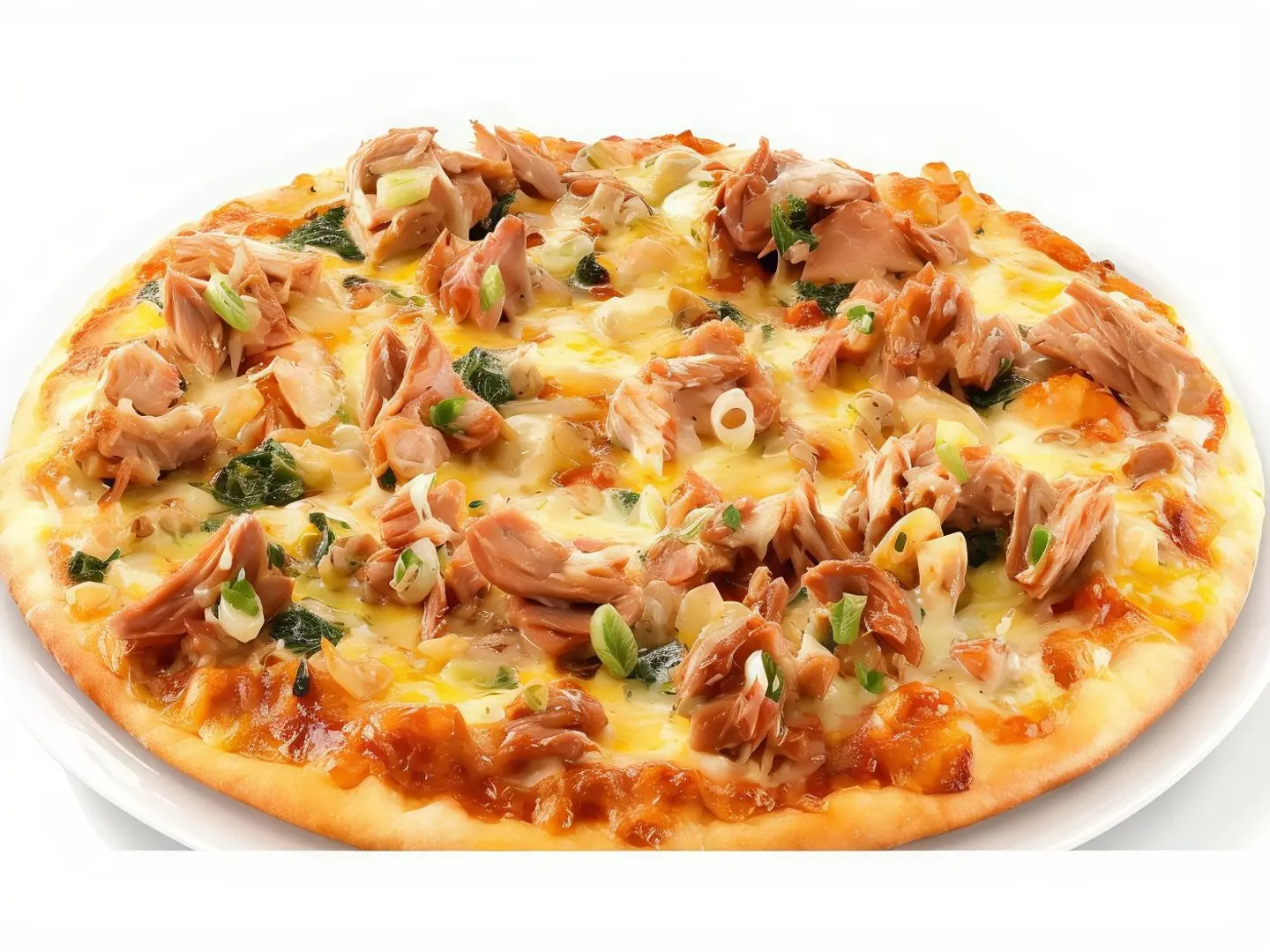 Tuna Pizza