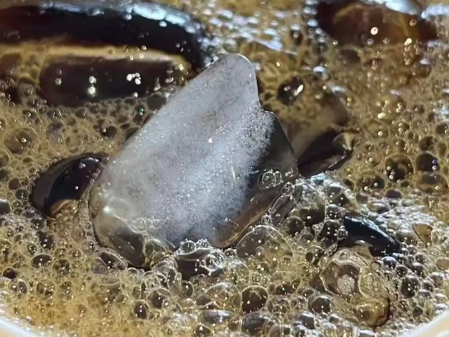 في 60بارد قهوه