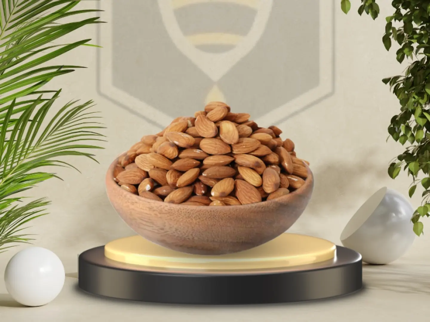 لوز امريكي(كبير)