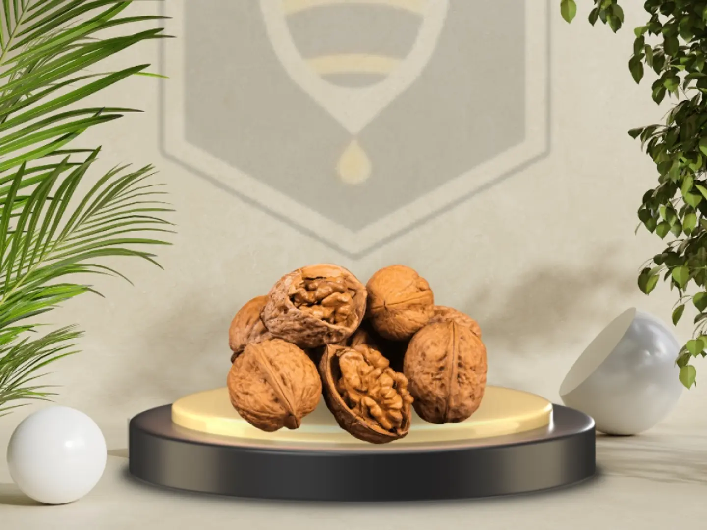 جوز (عين الجمل)