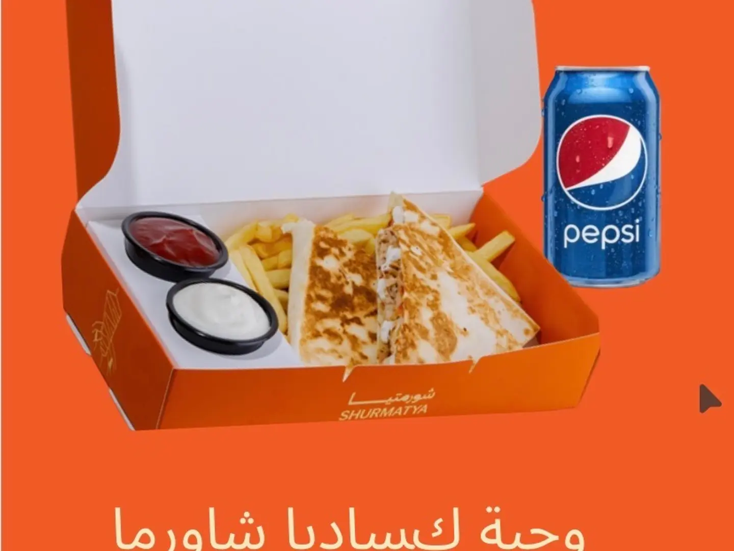 Shawarma Quesadilla Meal