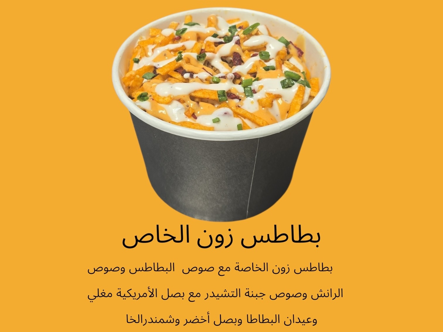 Special Zone Fries