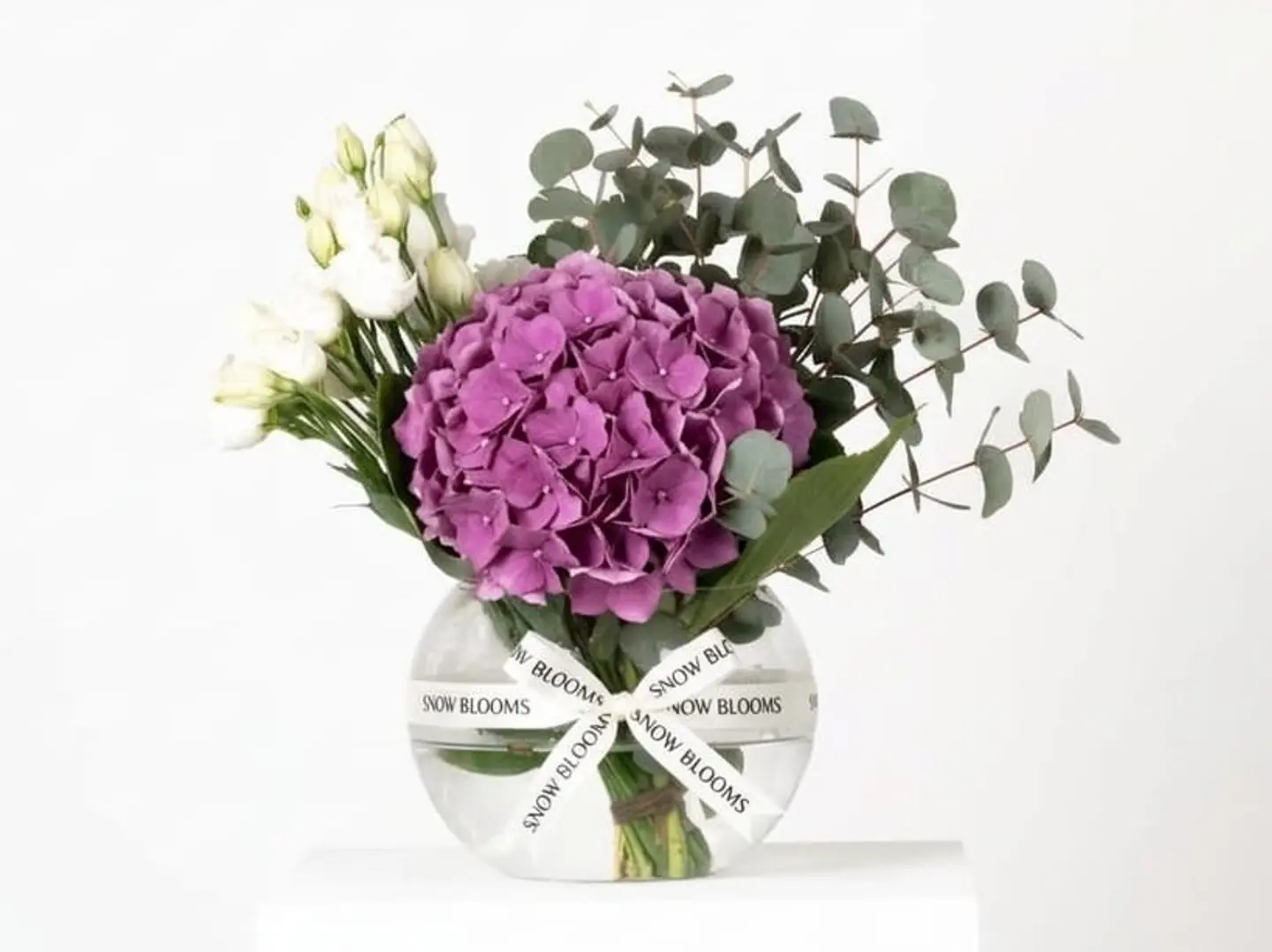 سبيشال هيدرانجيا