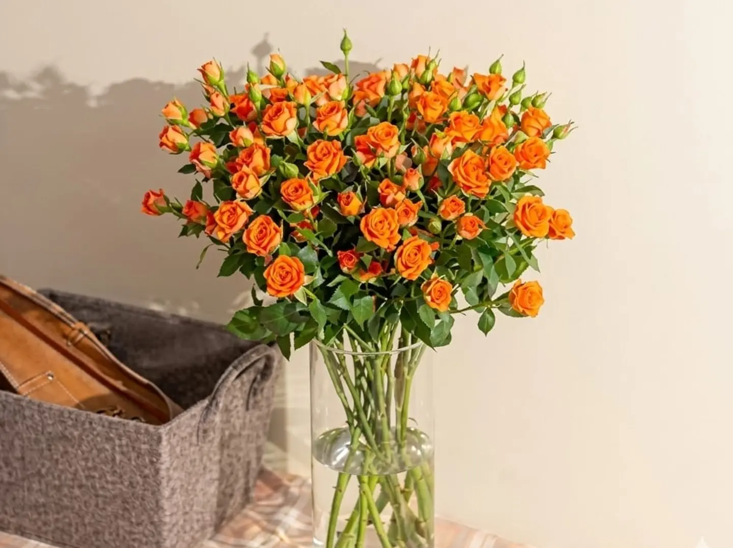 زهور البرتقال