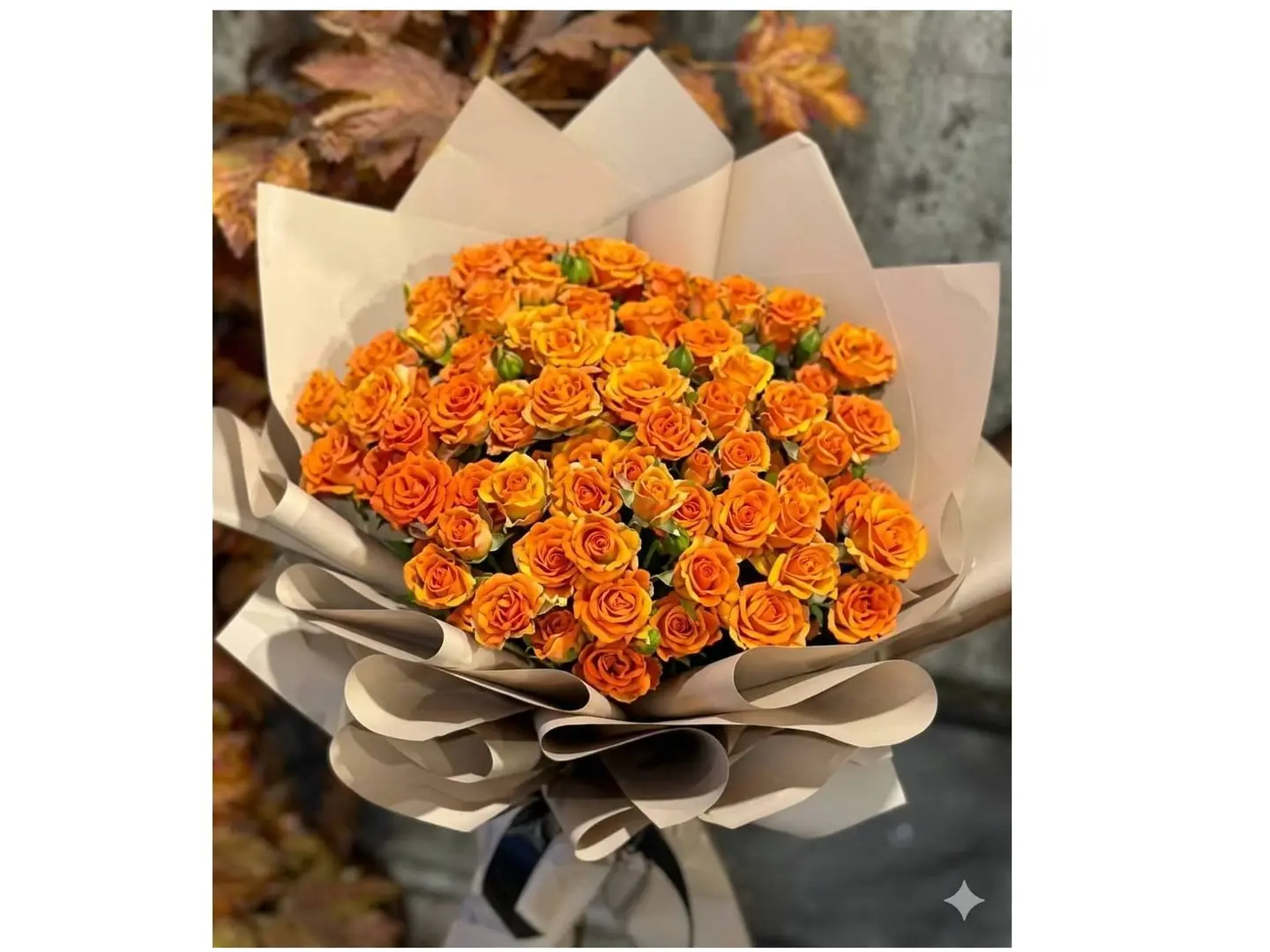 إم بالبرتقالي بلش 243