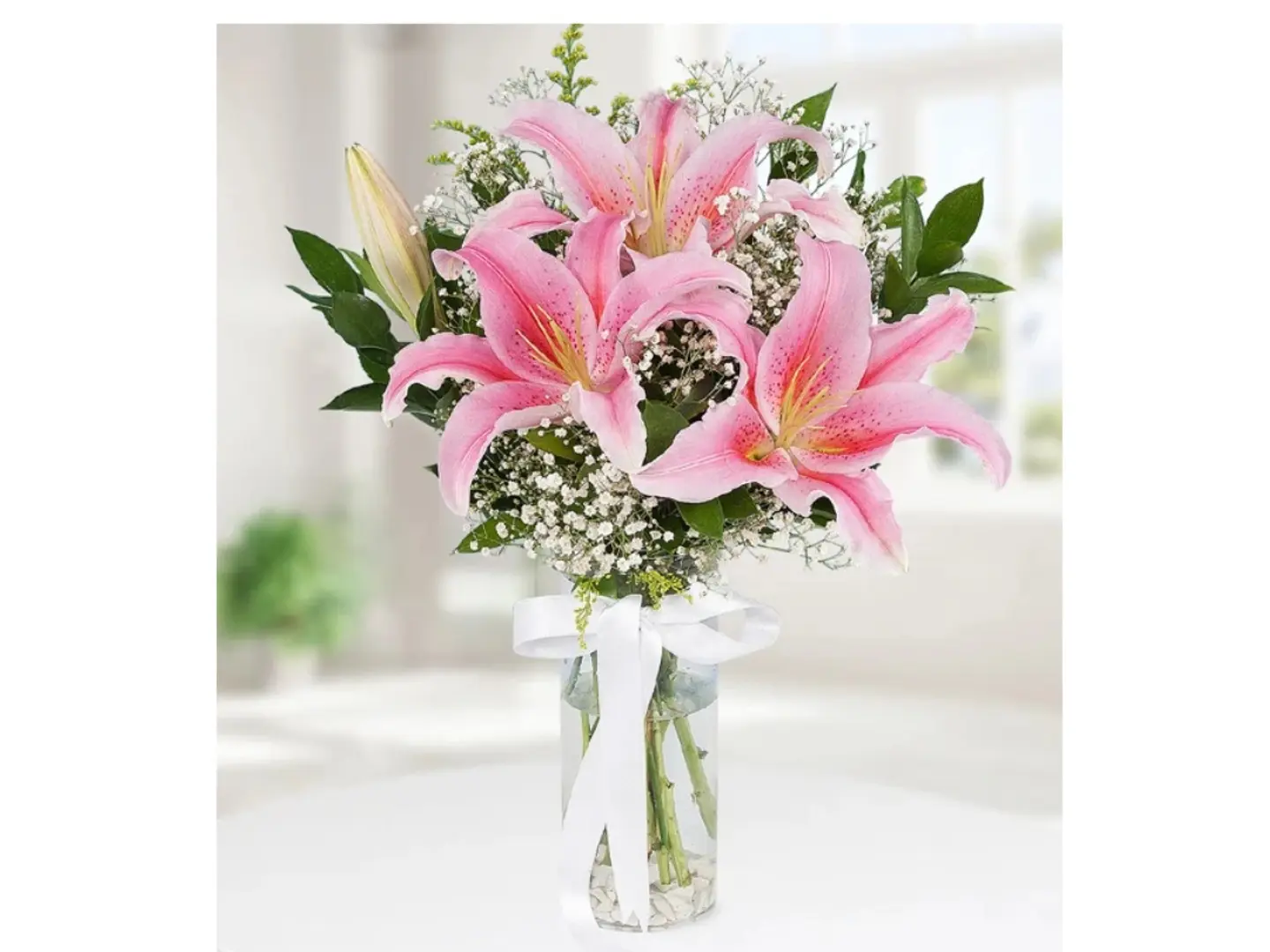 بتلات زهرة الليلي الحالمة