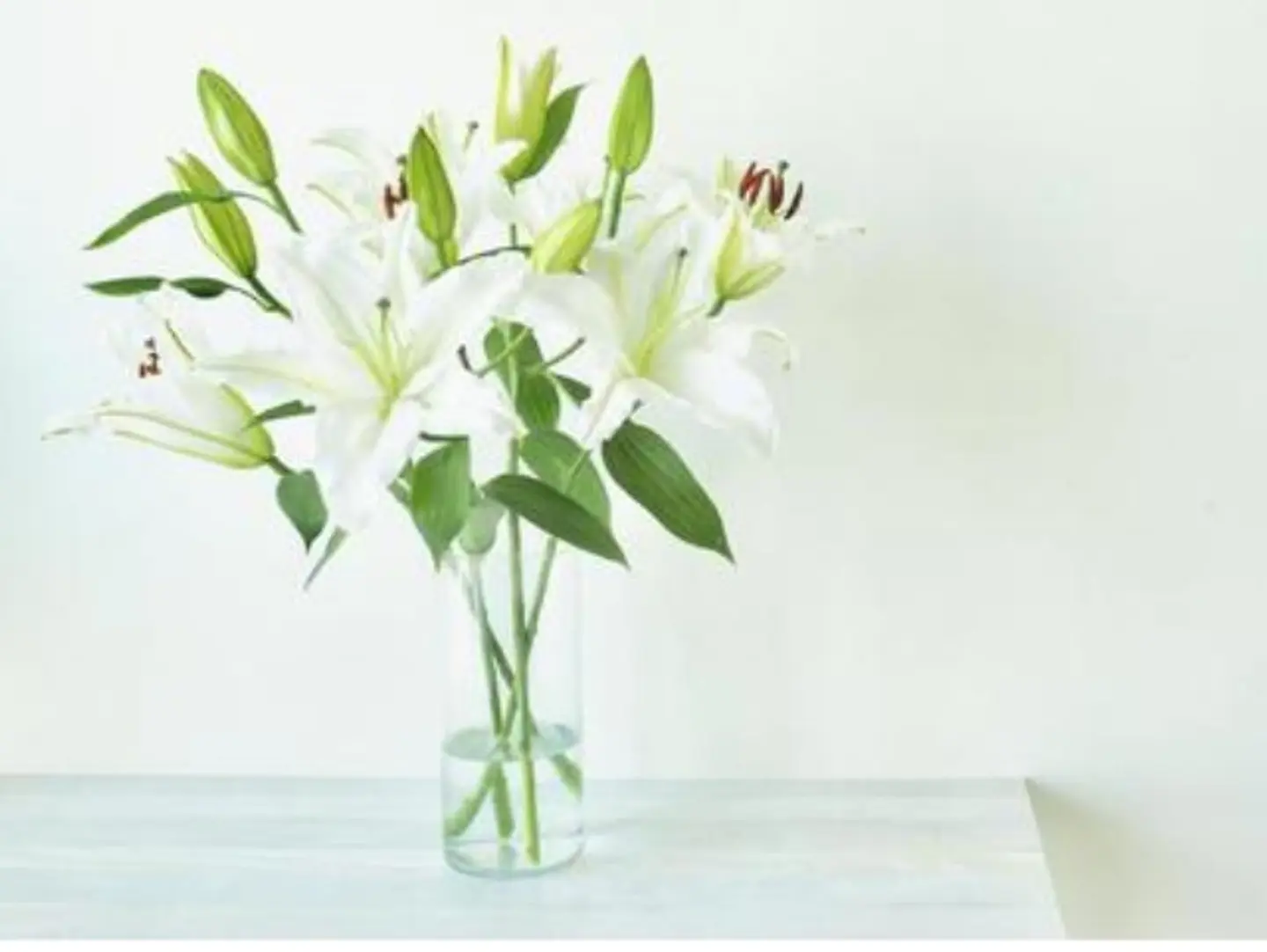 Sb Cazablanka Vase 270