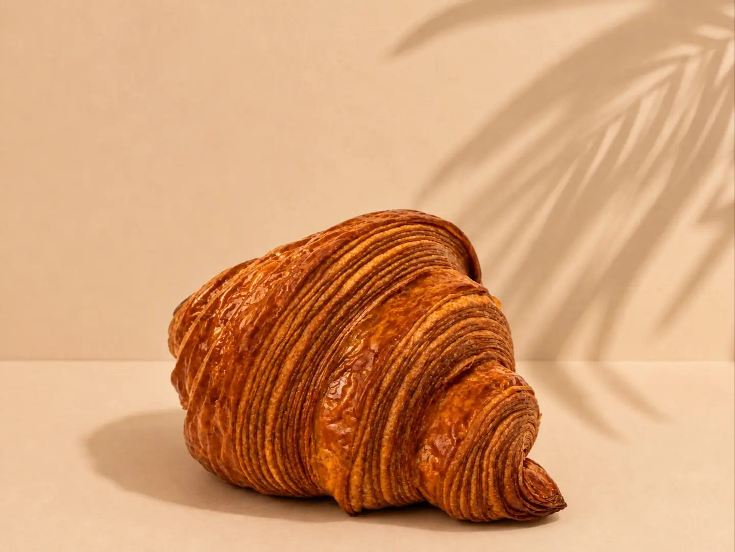 Croissant Plain