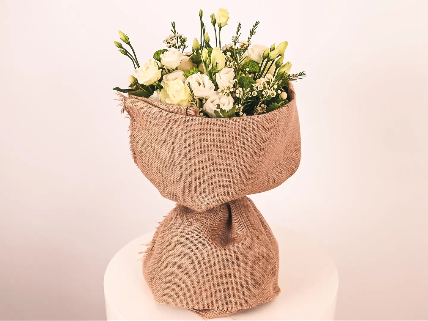 الباقه الافته البيضاء