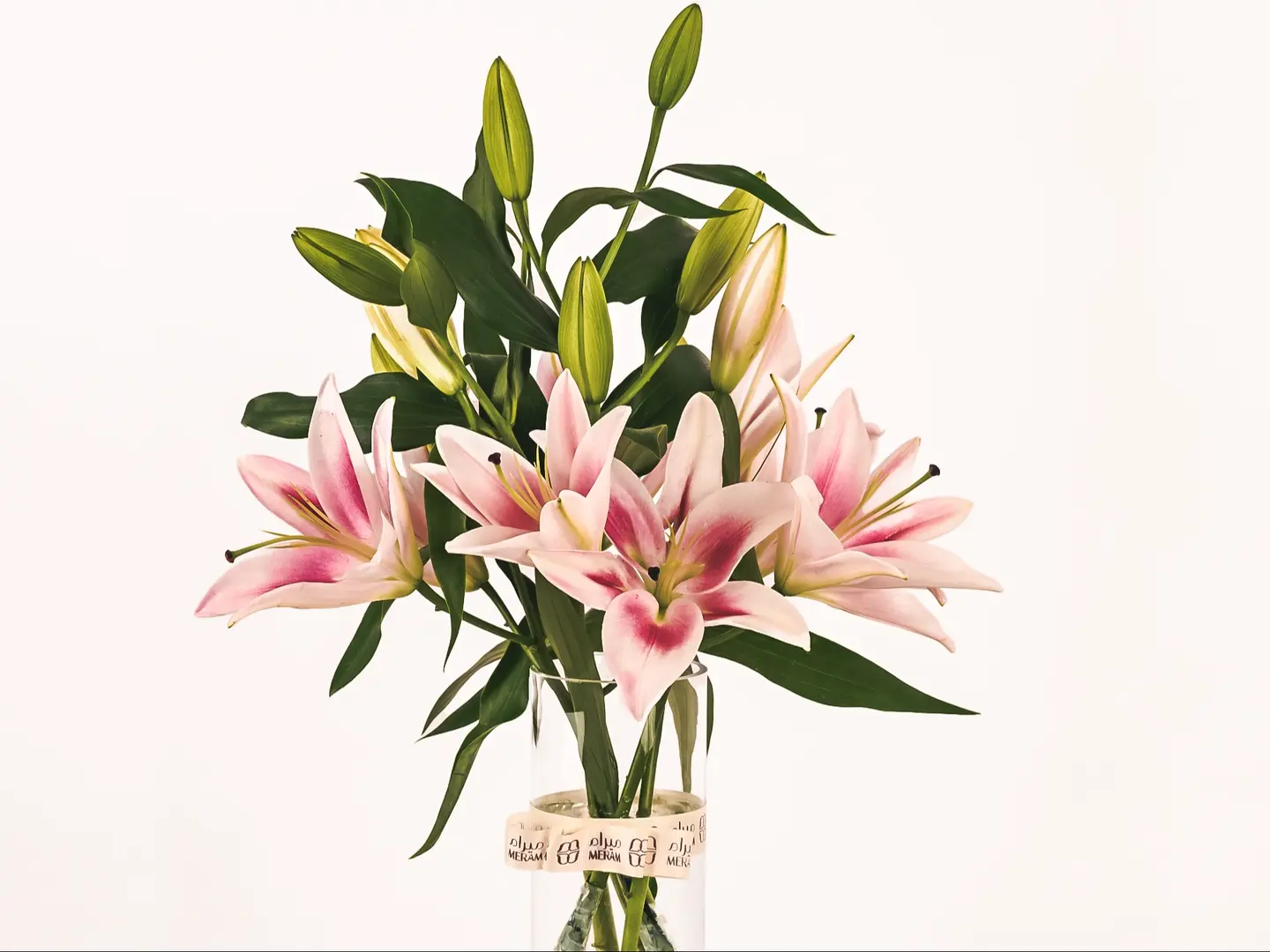 فازه الكازابلانكا