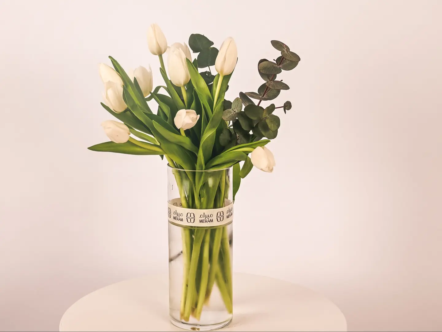 فازه التوليب