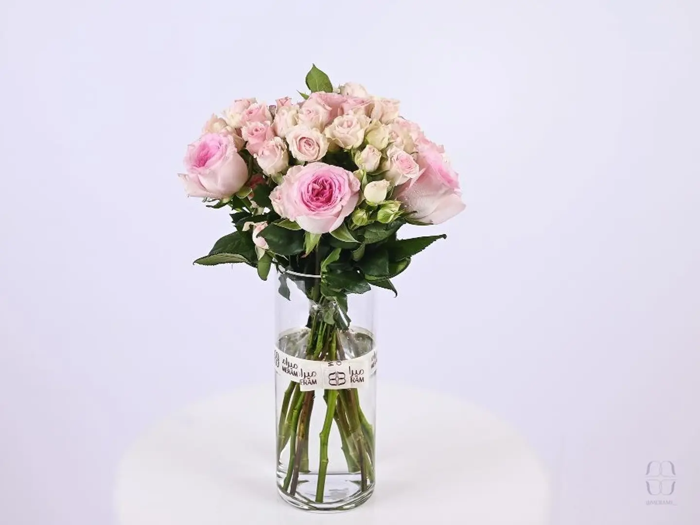 فازه النقاء