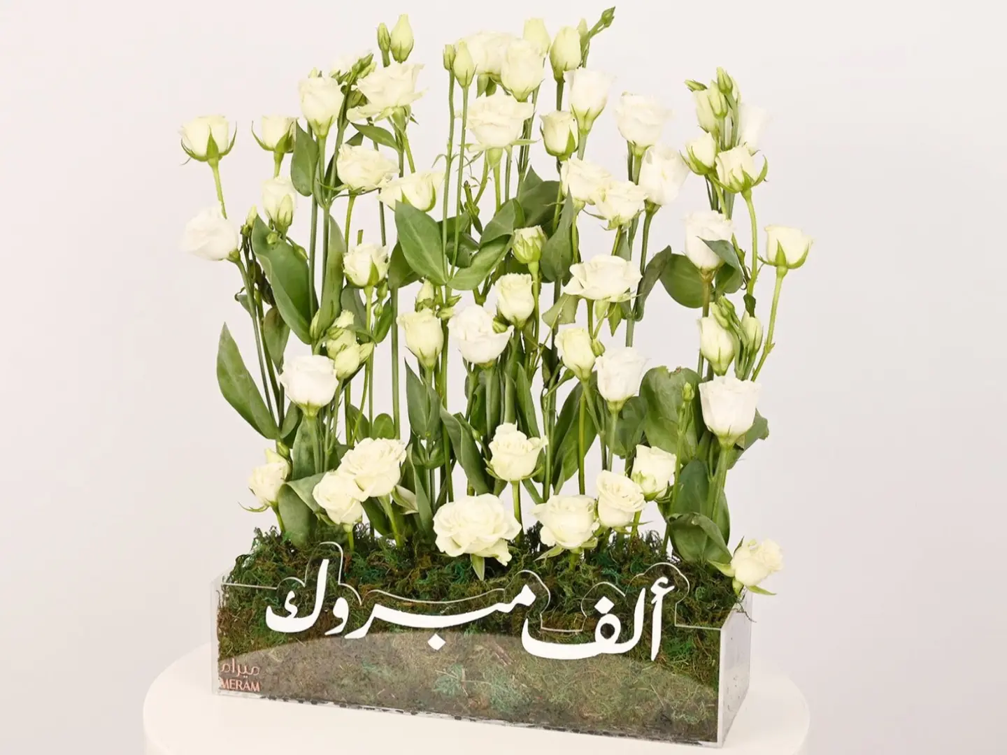 تقديمة الف مبروك