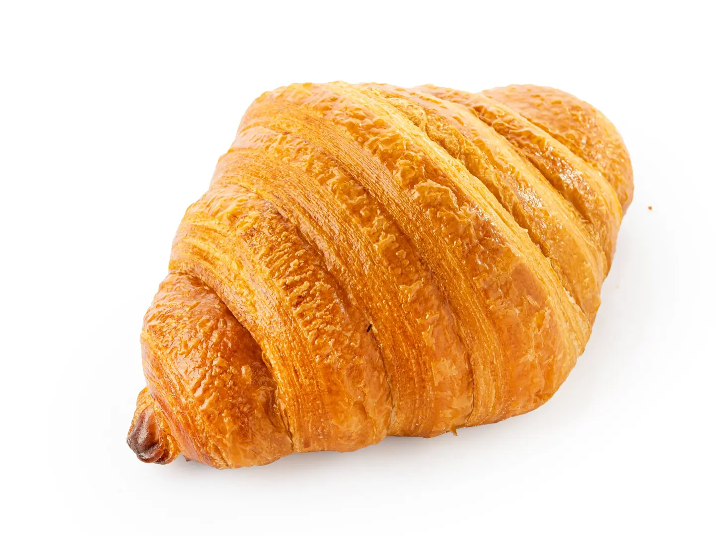 Plain Croissant