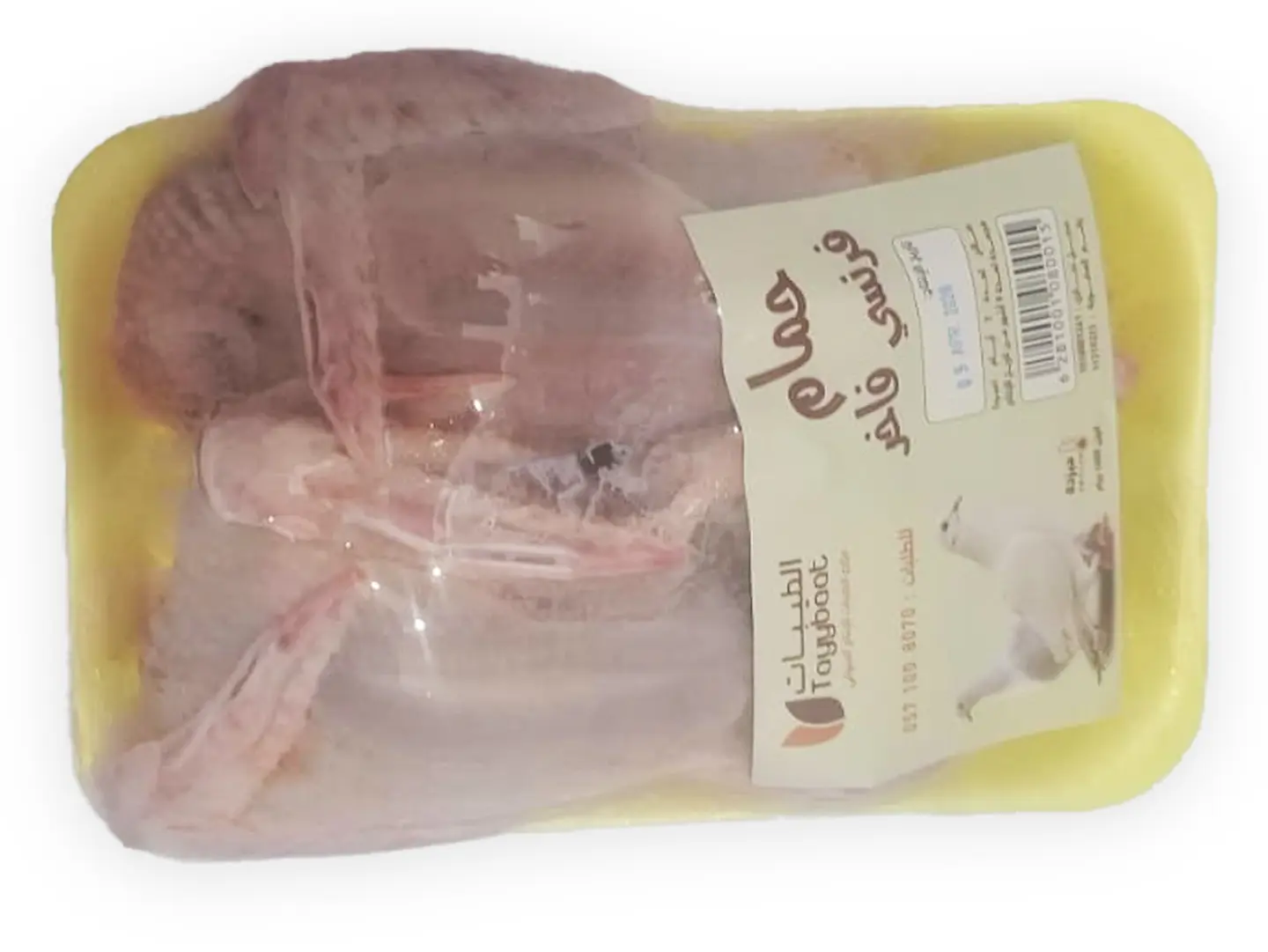 Luxury French Pigeon Al Tayebat