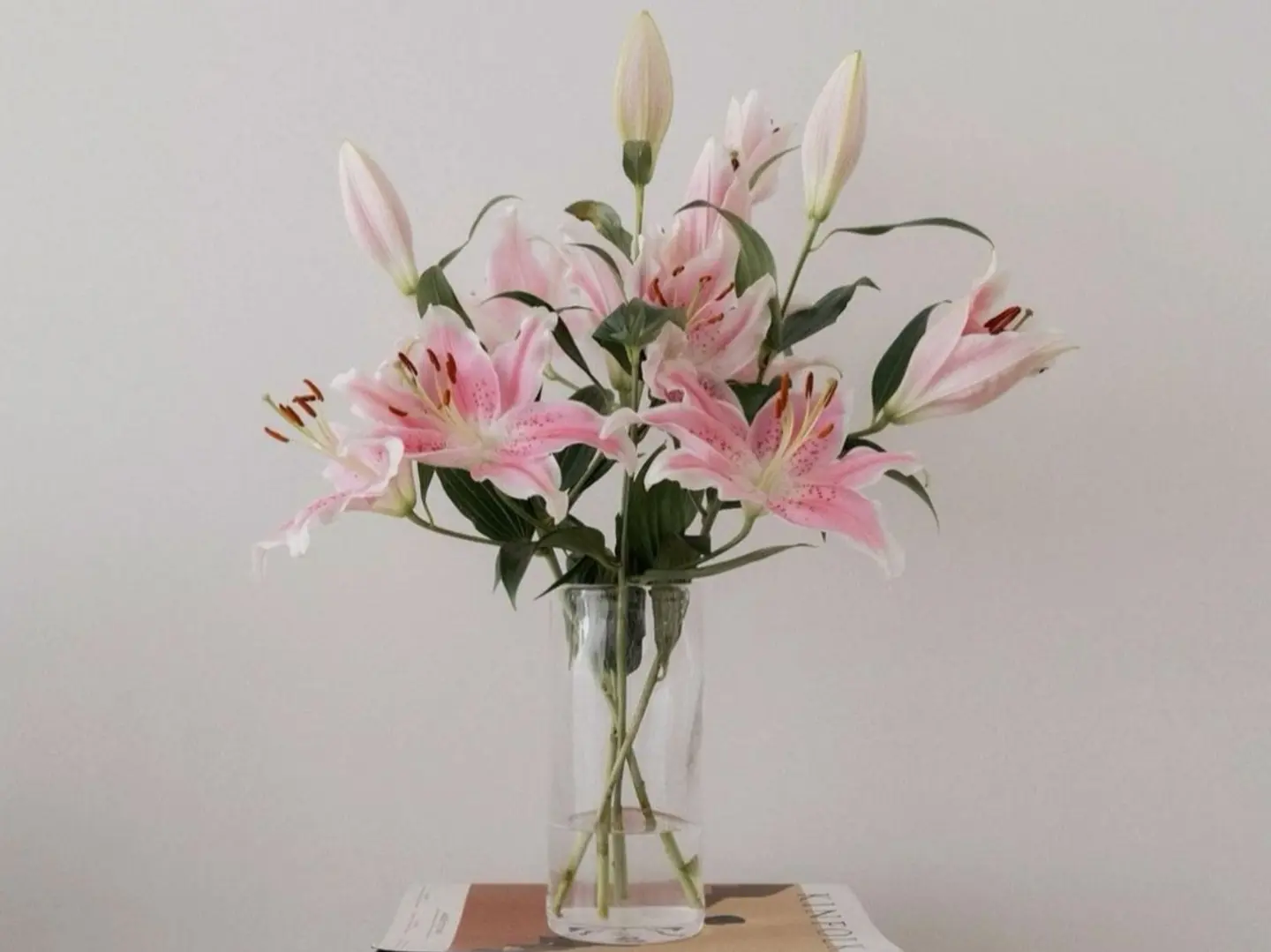 Vase 5