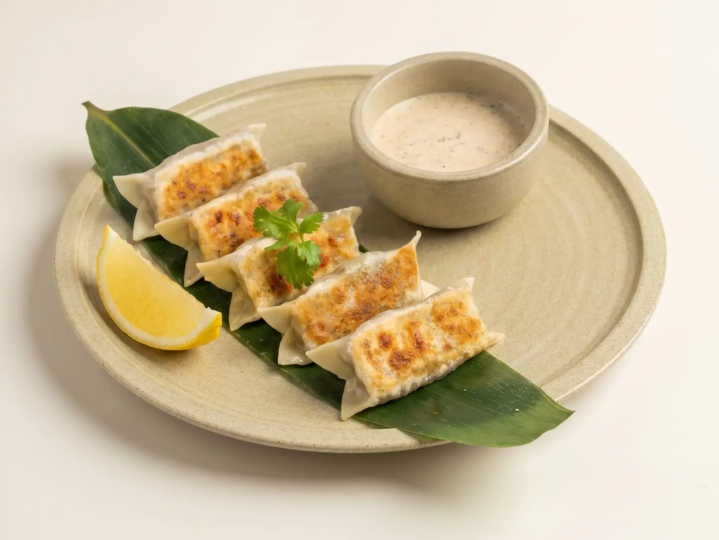 Beef Gyoza