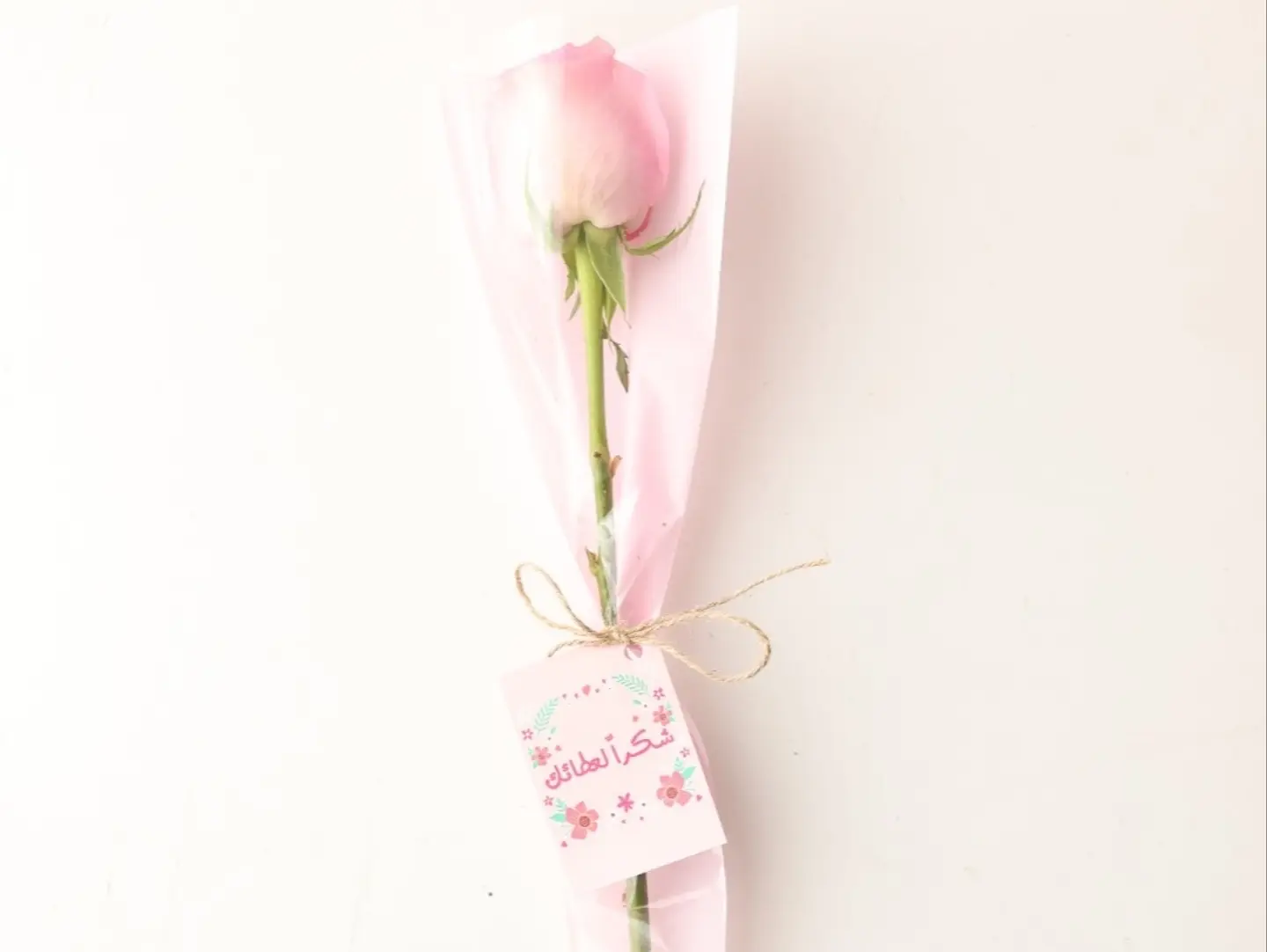 Teacher Flowers Pink Ar