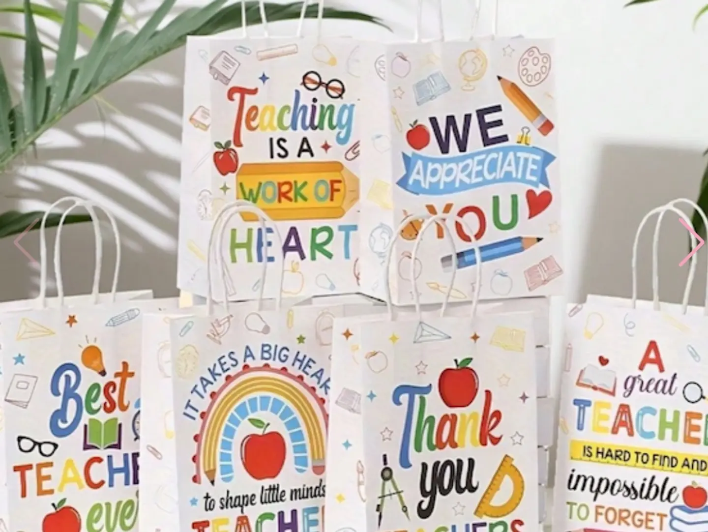 Teacher Paper Bag