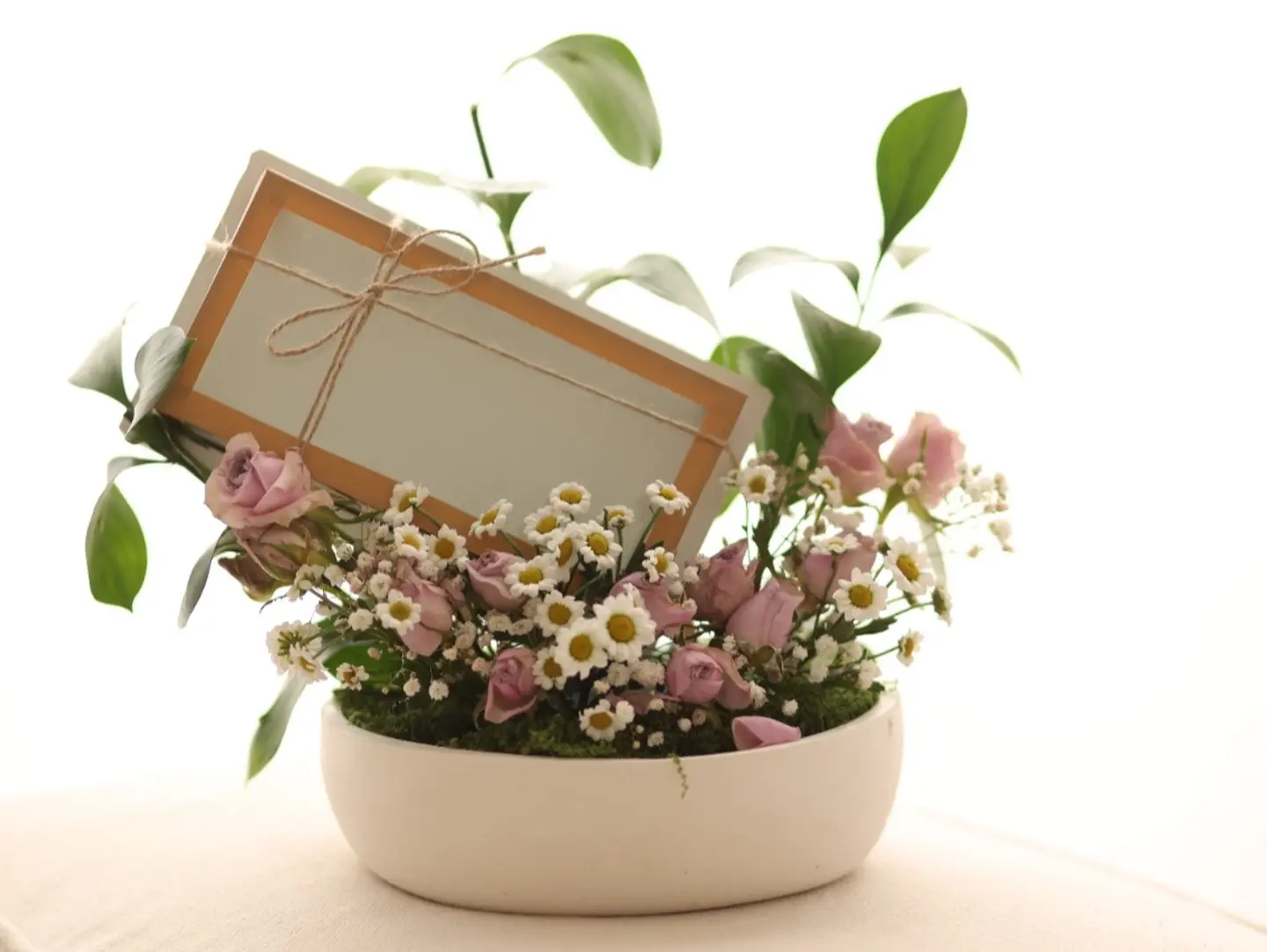 Money Gift 3