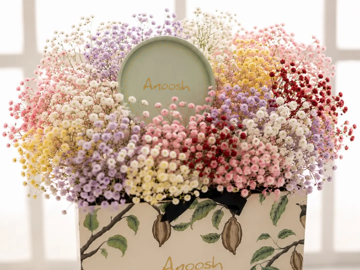 Gypsophila And Anosh Choclate   X5