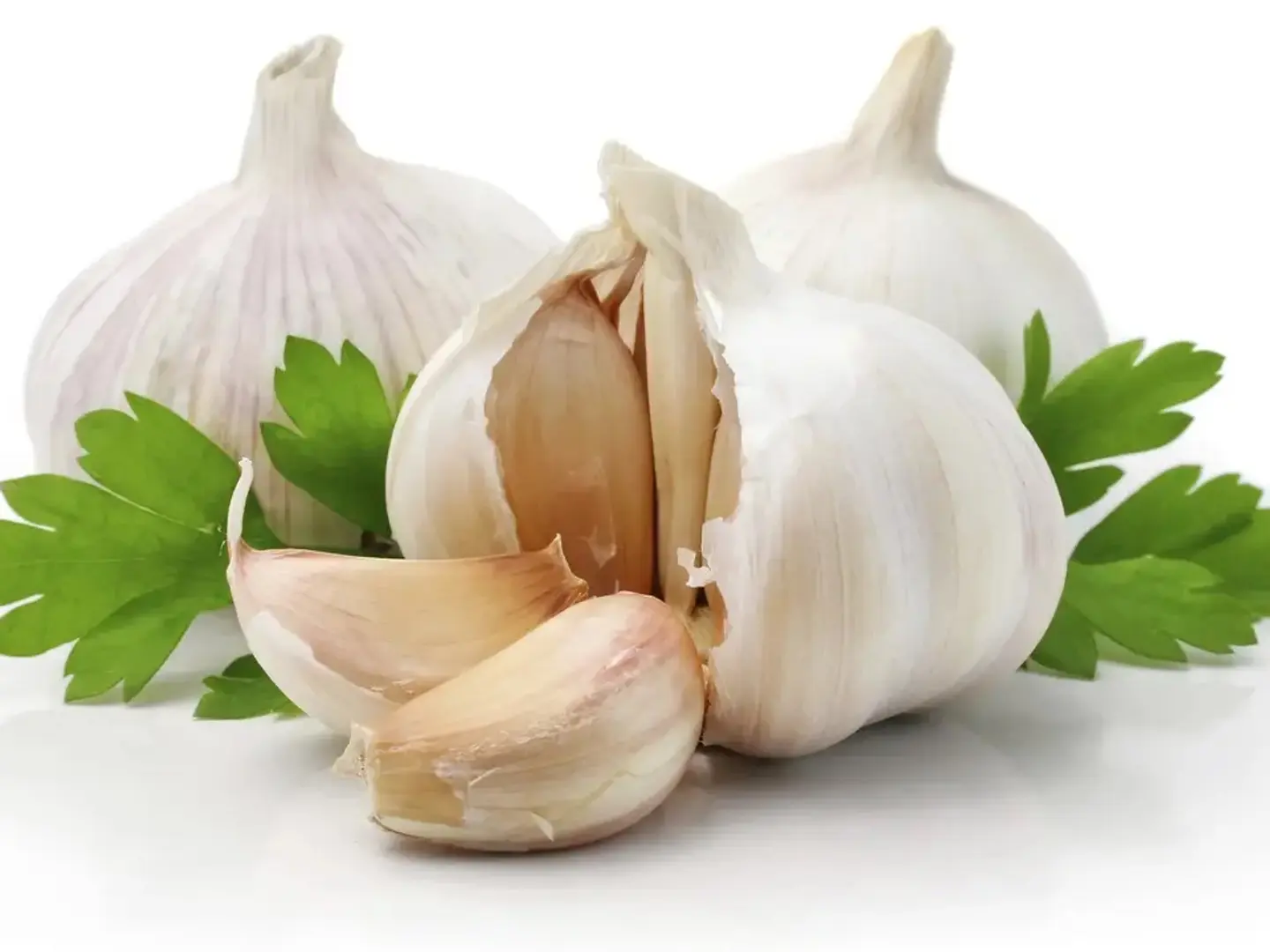 Garlic