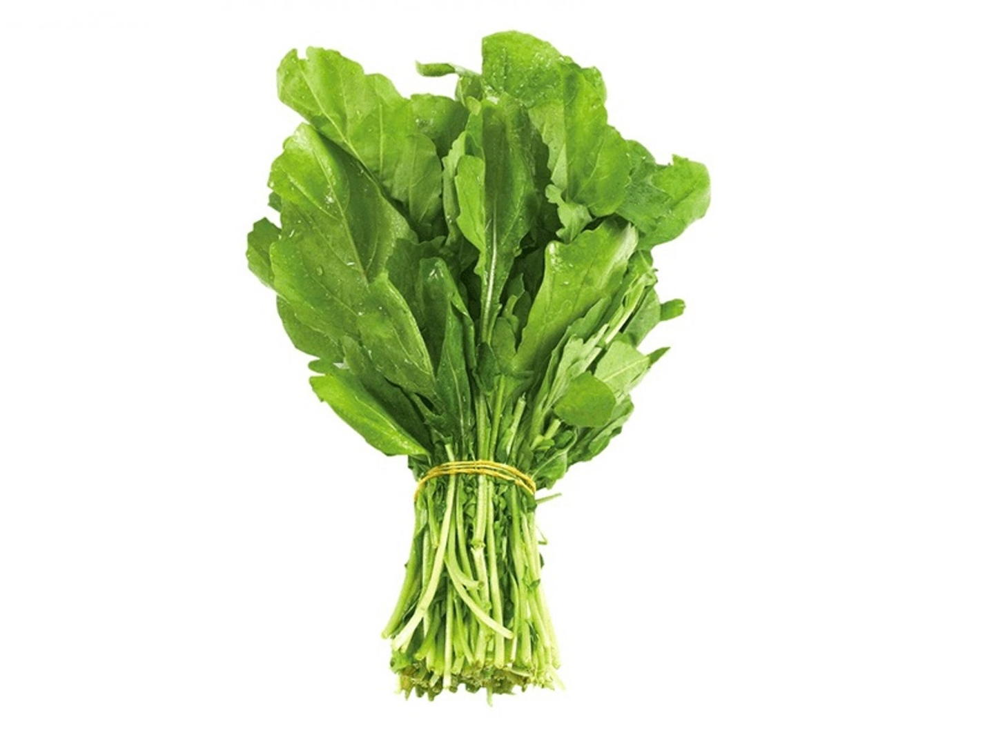 Arugula