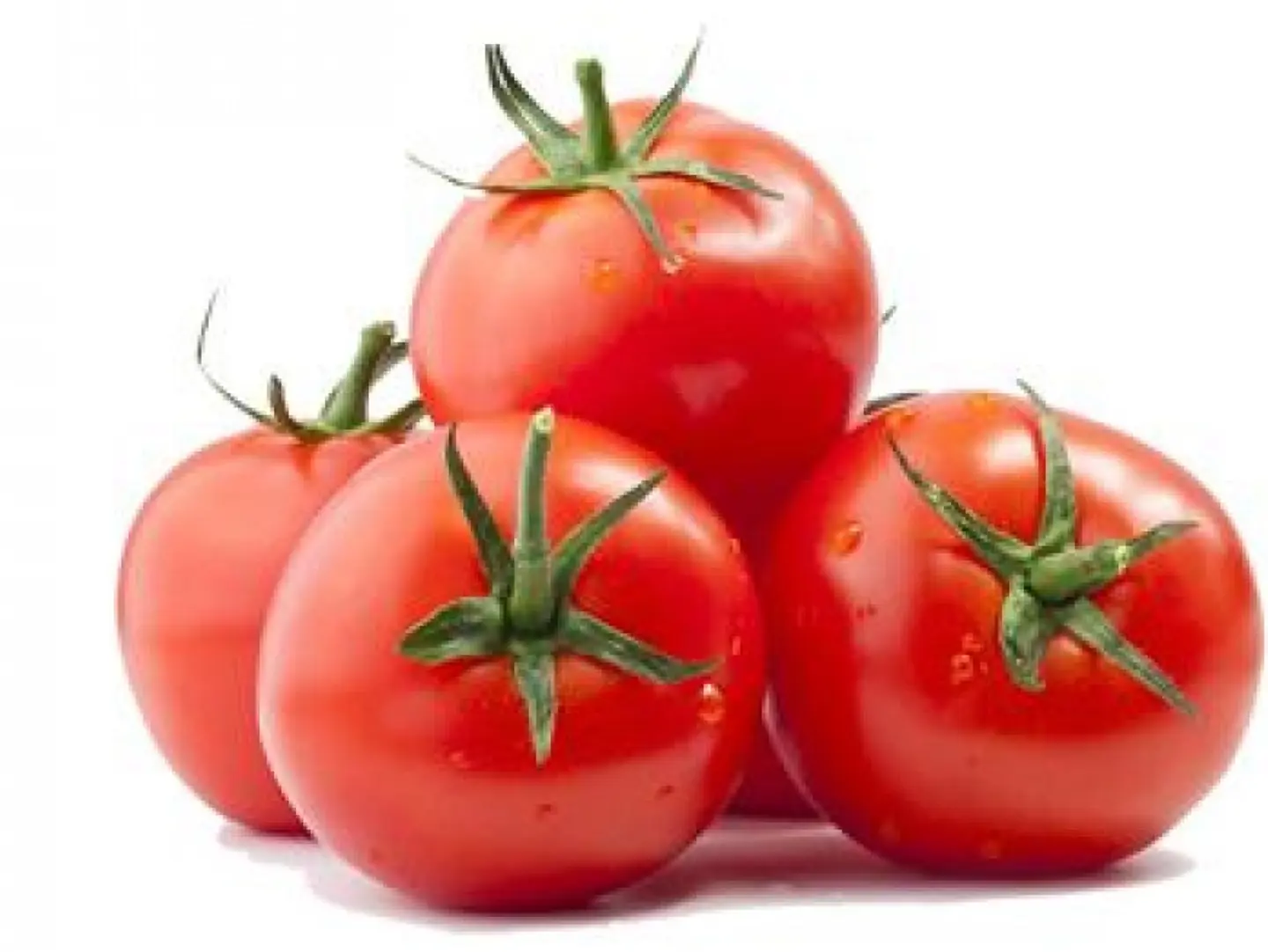 Greenhouse Tomatoes 1 Kg