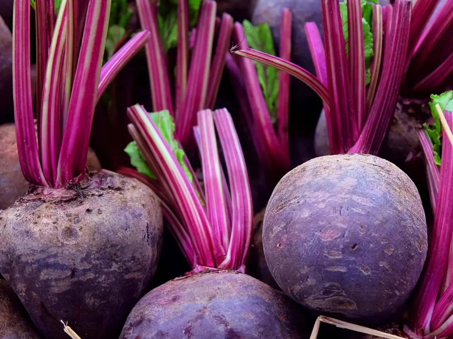 Beet