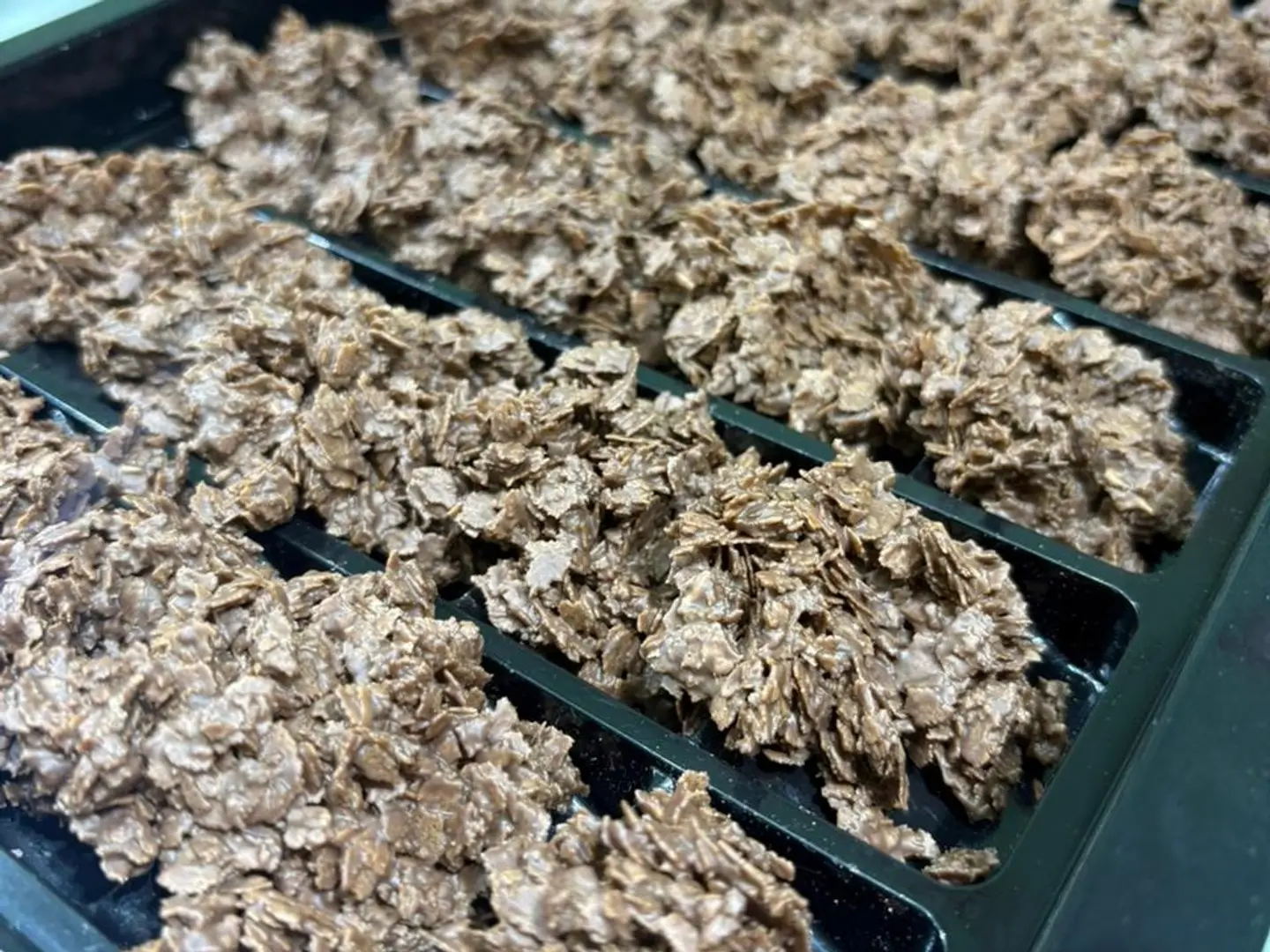 كرانشي شوكلت بلجيكي