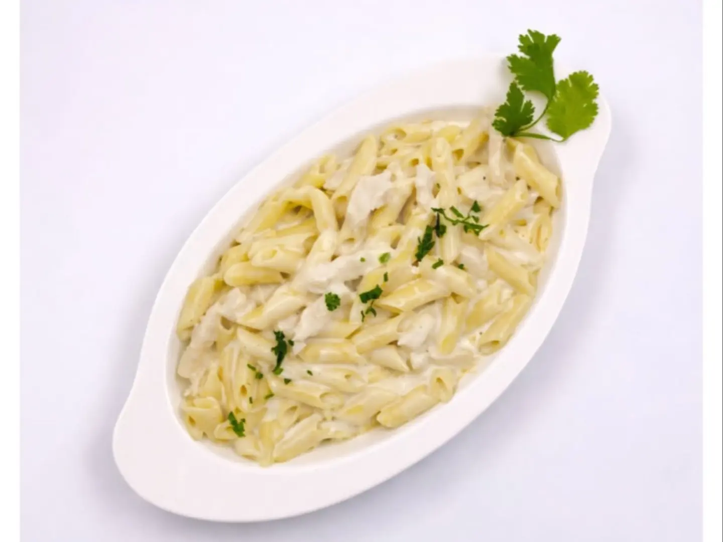 Penne Chicken With White Sauce