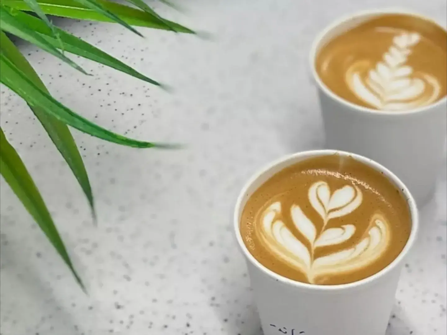 عائلة الإسبريسو