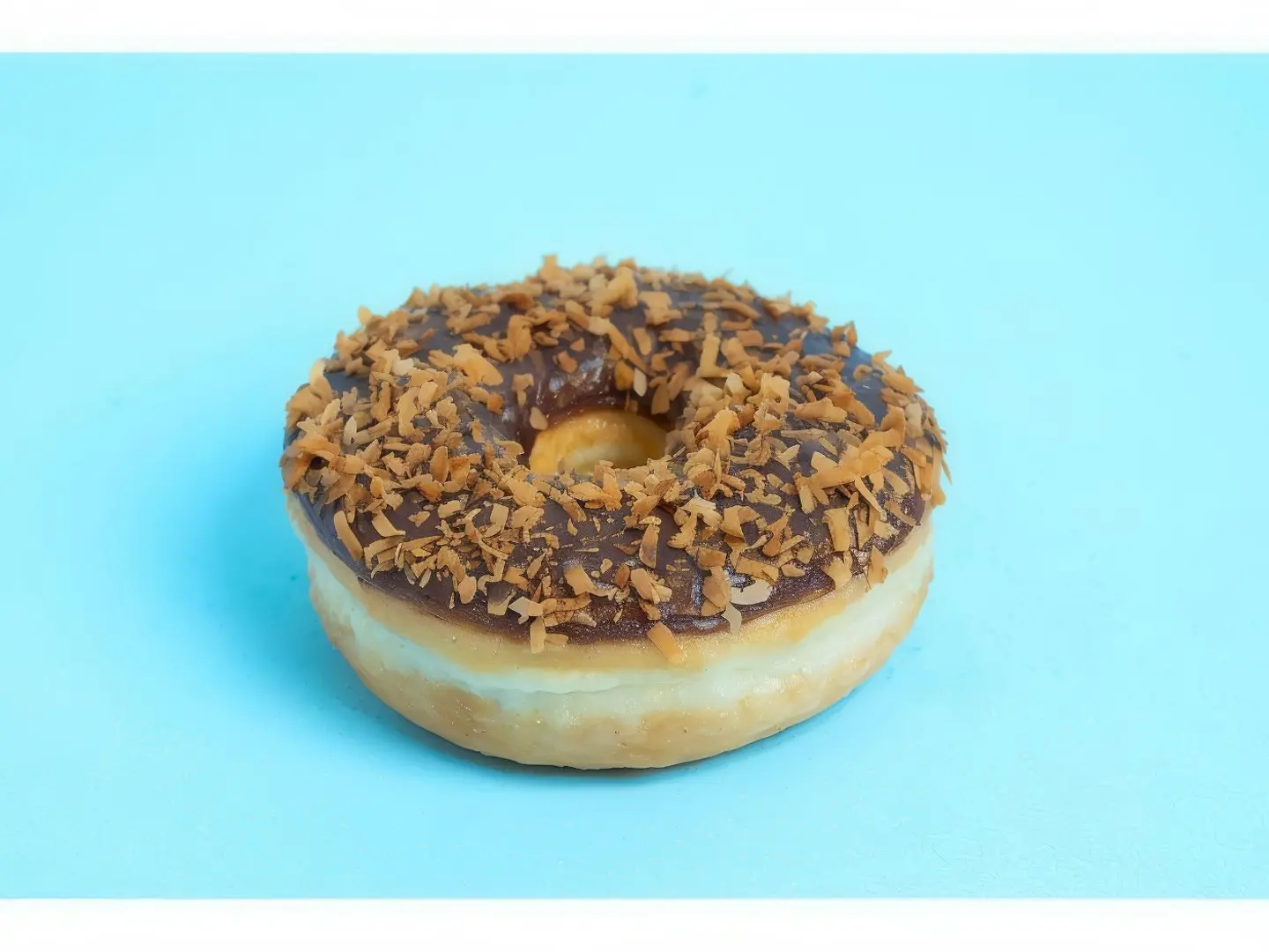 Toasted Coconut Donut