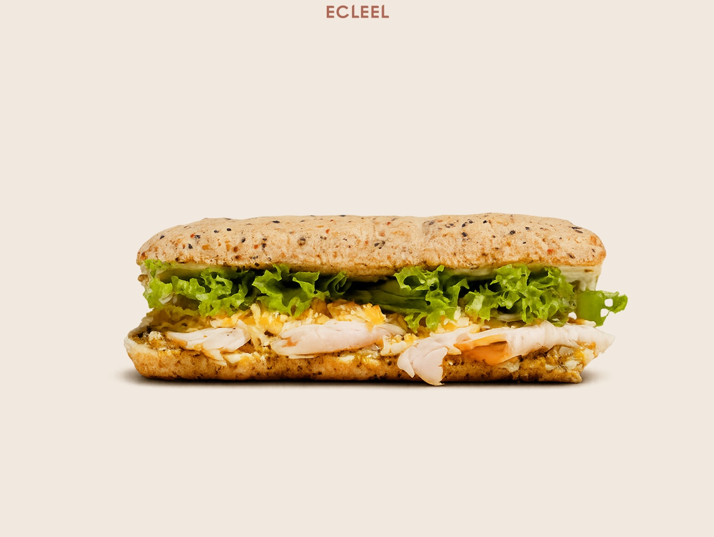 Turkey Sandwich