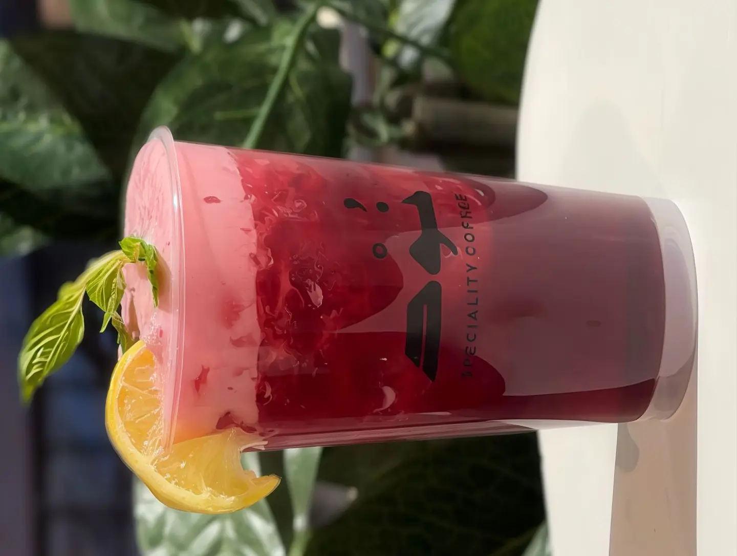 Hibiscus