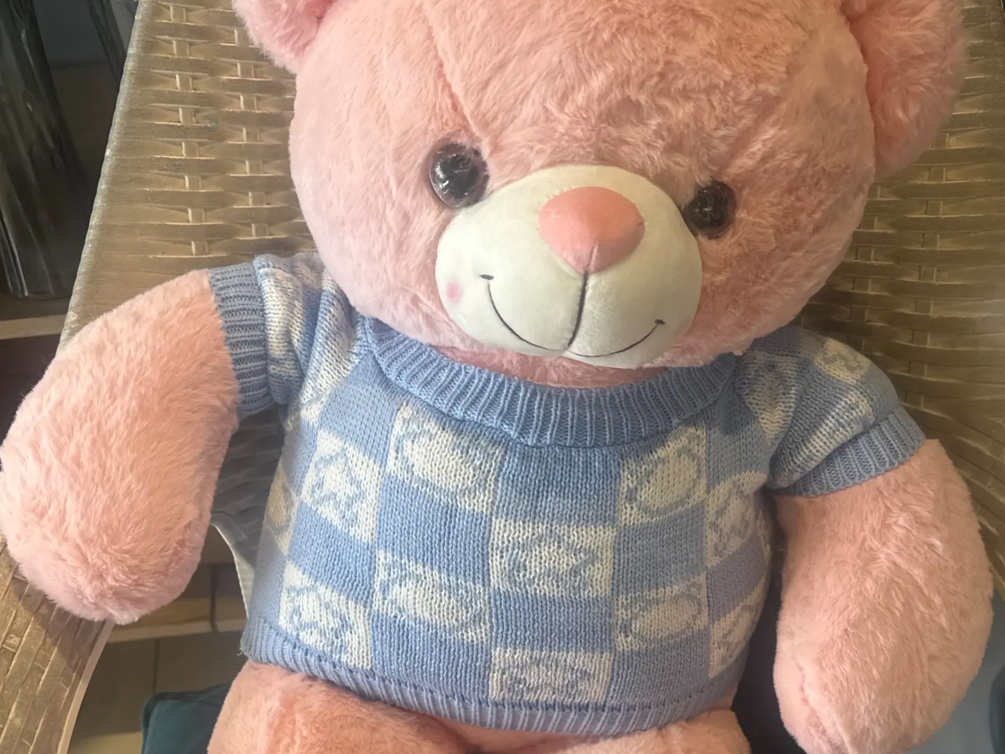 Medium Pink Teddy Bear