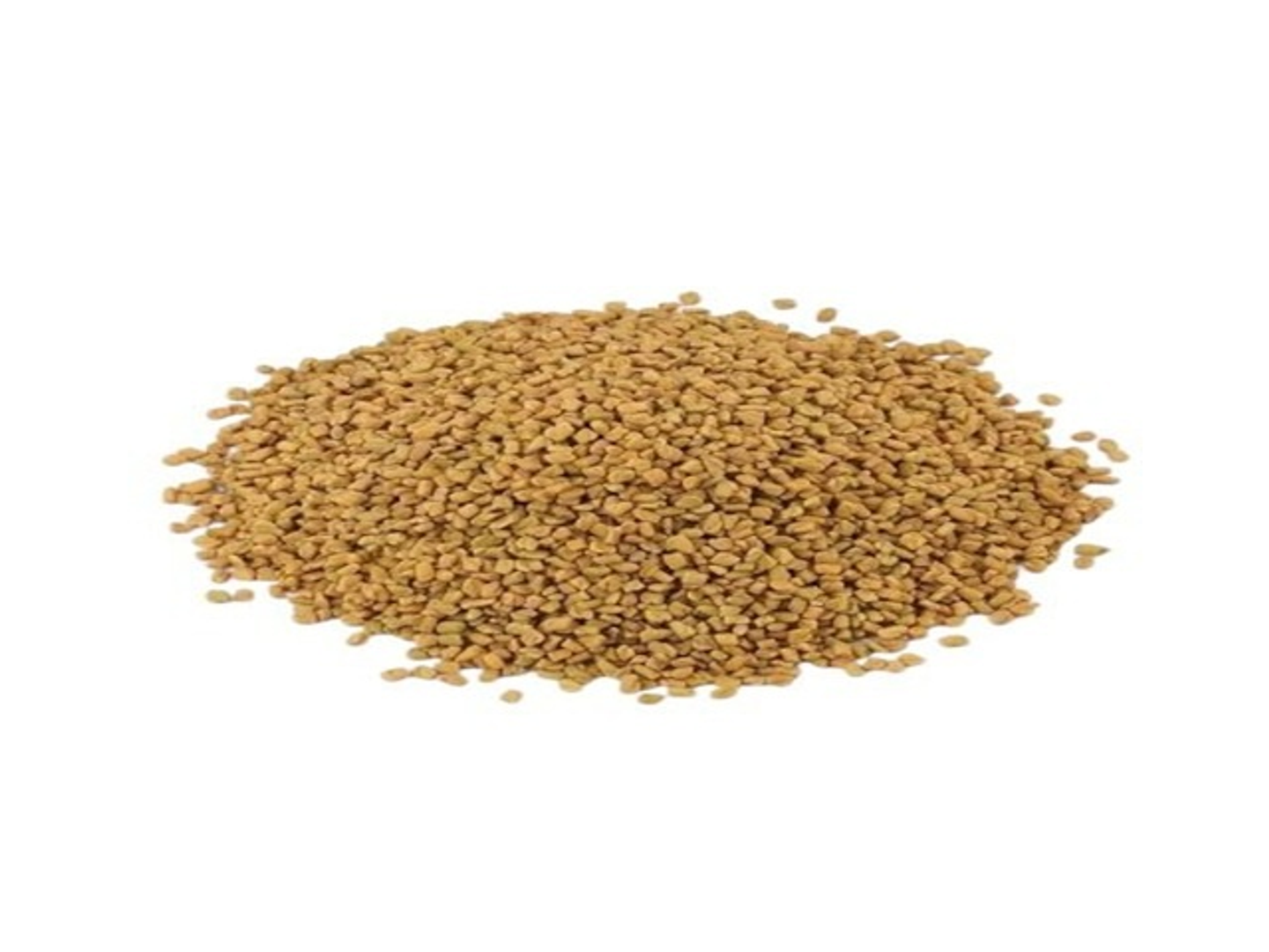 Indian Fenugreek Seeds