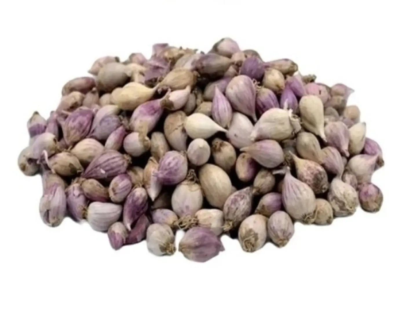 Yemeni Garlic