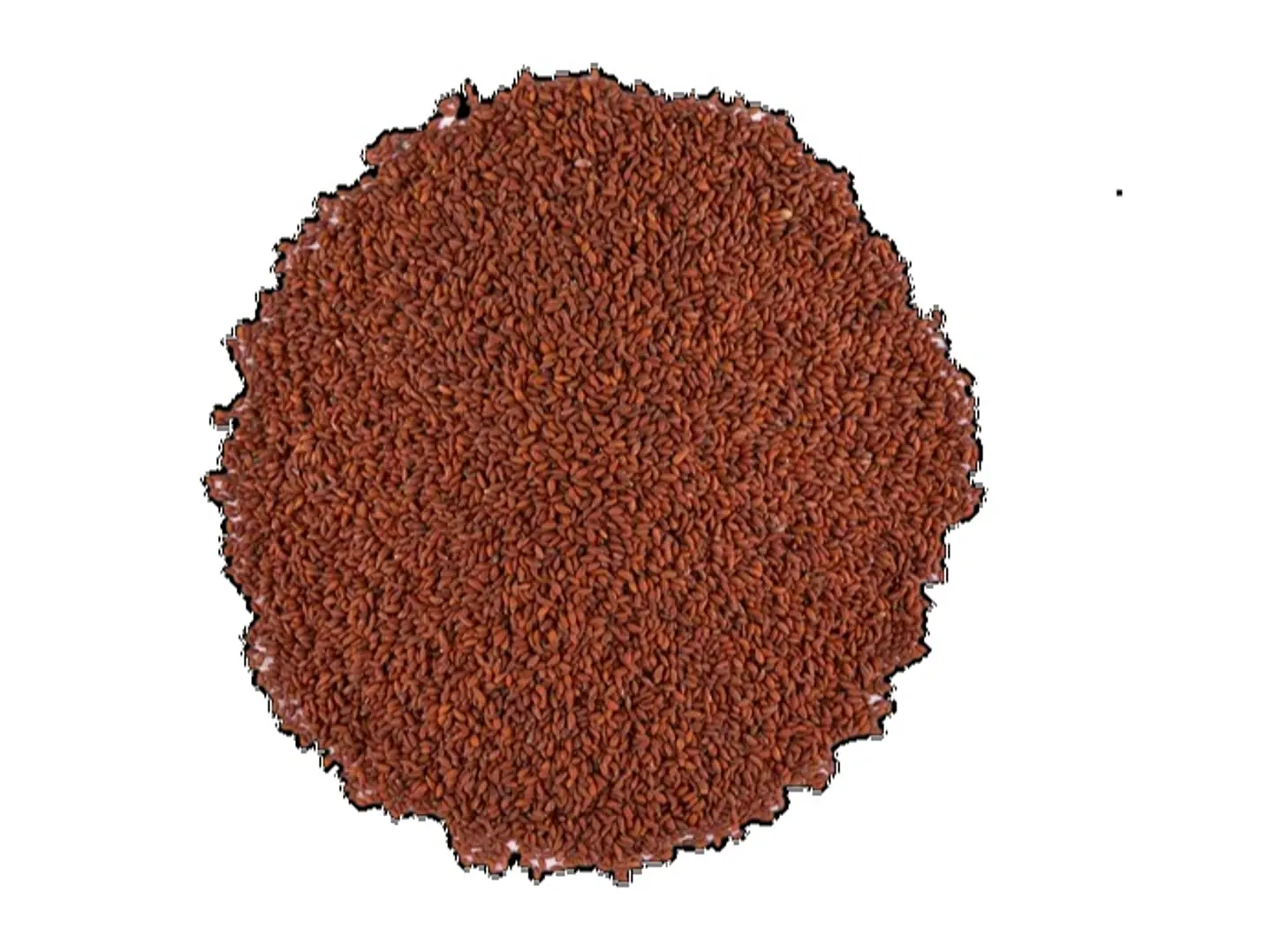 Indian Cress Seeds