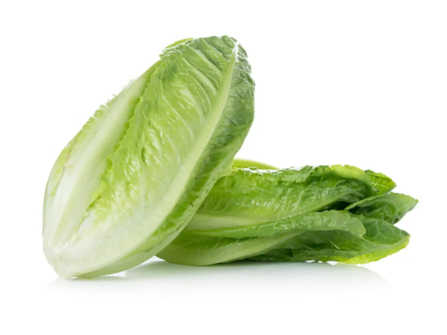Long Lettuce