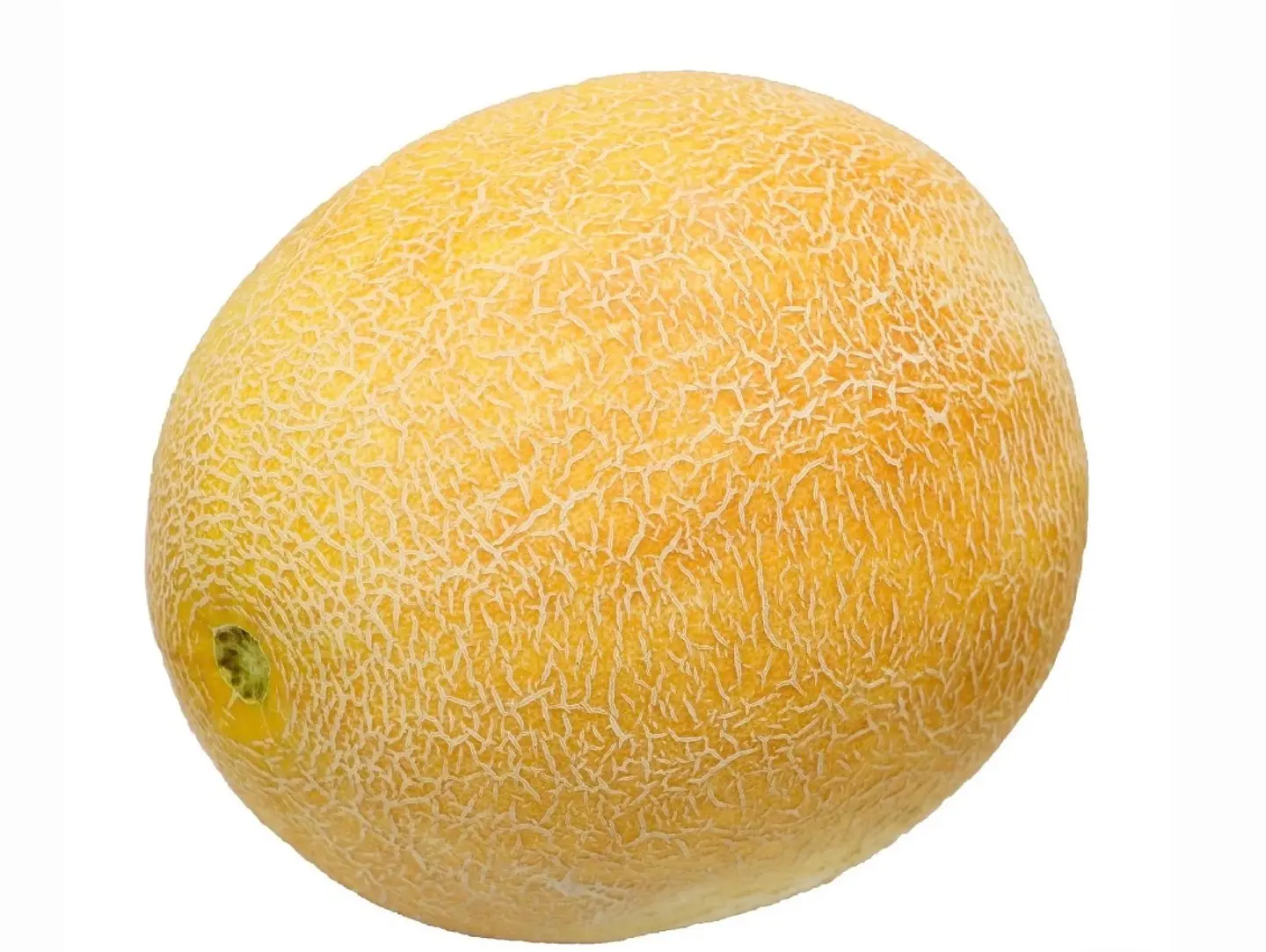 شمام اردني