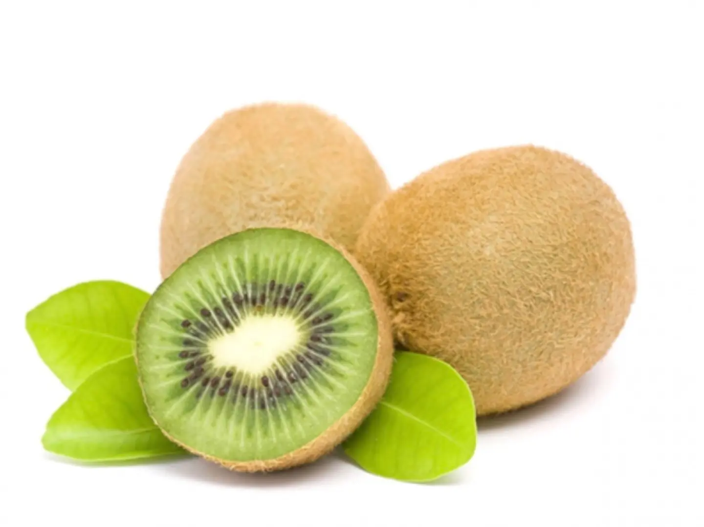 Kiwi Plate