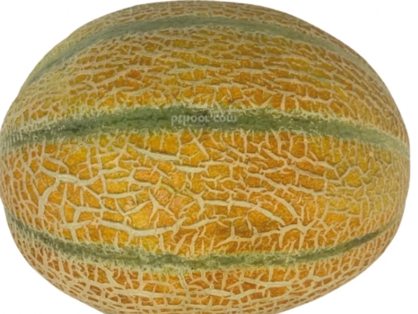 شمام حبة