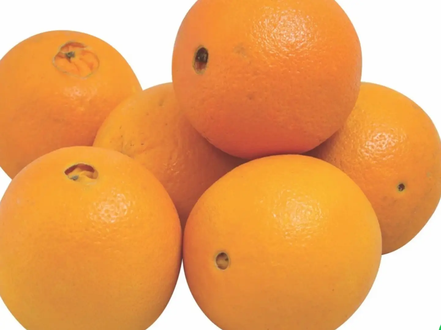 Navel Orange Carton